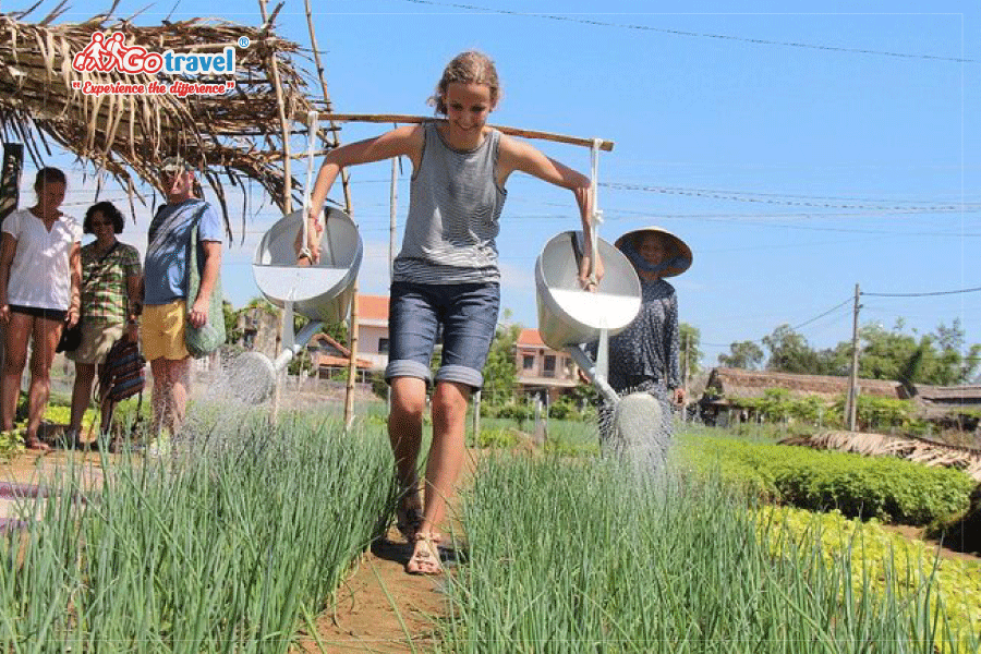 Try To Be A Real Farmer in Cam Thanh Village